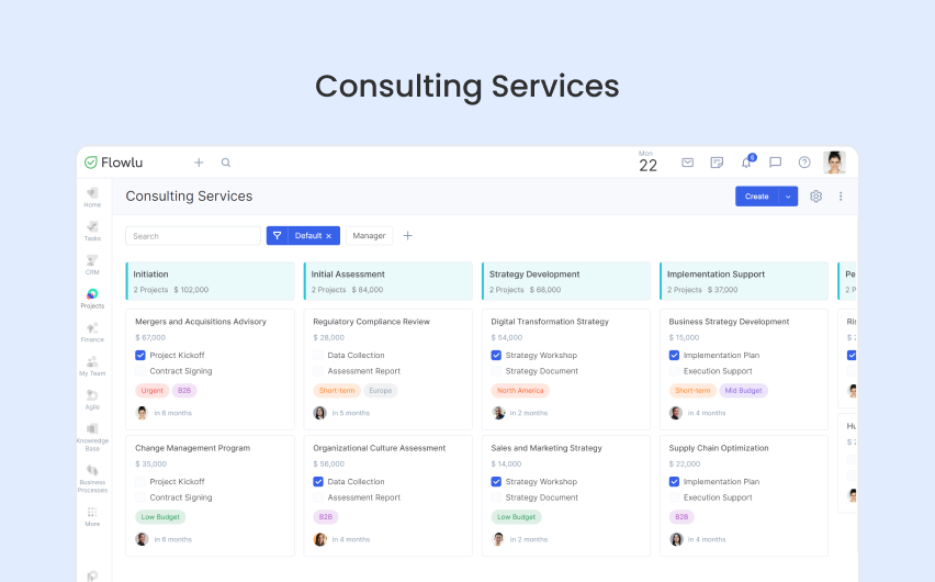 Flowlu - Servicios de consultoría