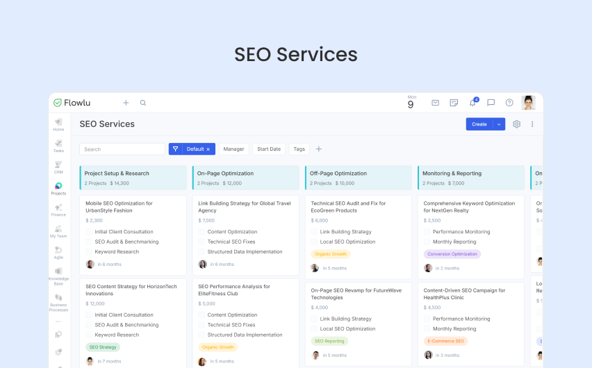 Flowlu - Servicios SEO