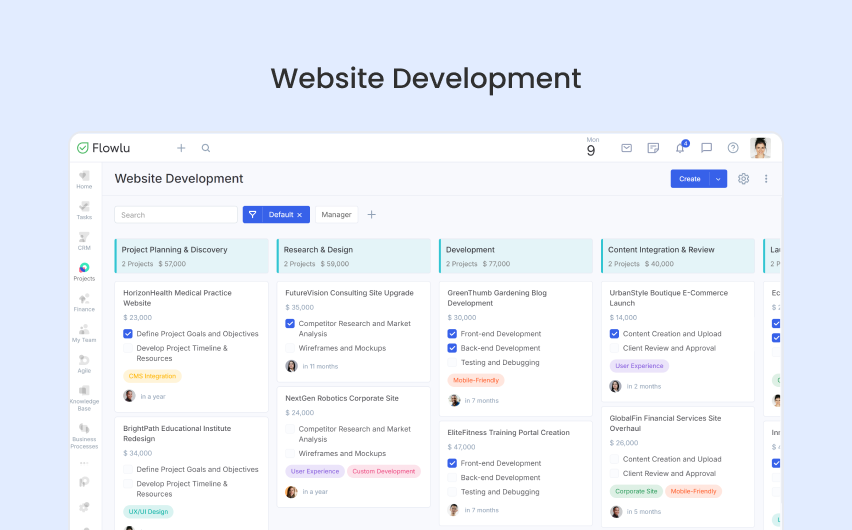 Flowlu - Plan del proyecto de desarrollo del sitio web