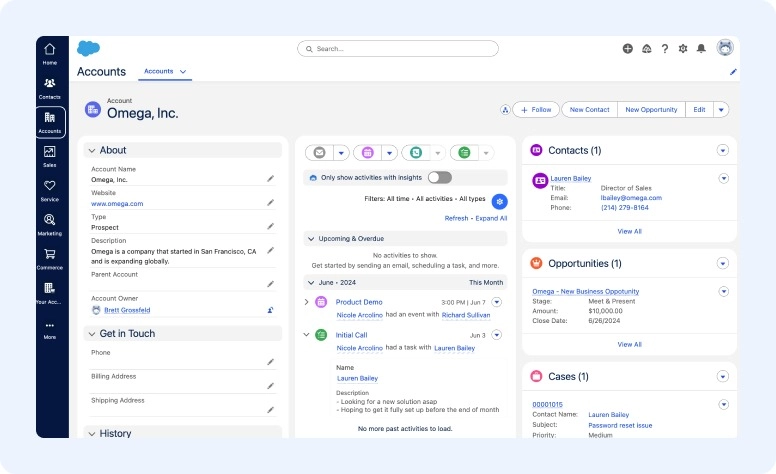 Salesforce CRM interface